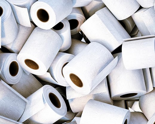 Why is Toilet Paper So Dusty? (Eliminate it in 5 Steps) - Cleaners Talk