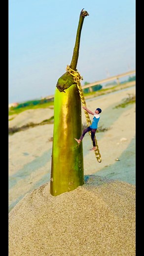 7K views · 66 reactions | Creatve photography tutorial #reelsvideo #facebookreels #reelsviral | Alamgir Hasan | Facebook