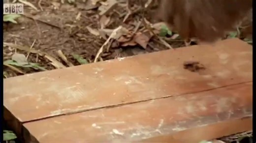 claude code watching me write code manually | Kevin David Jeppesen