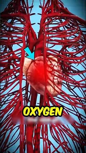 If You Ever Wondered What Happens During a Heart Attack…😱