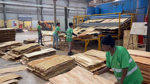 This how the Trees goes through Vigorous Process from The Factory, and The Final Results are Amazing 🤩 | Unity Broadcasting