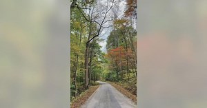 Kentucky road makes the list for best scenic fall foliage drive