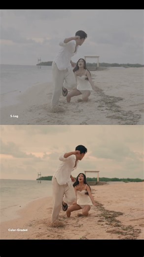 S-Log vs Color Graded