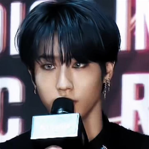 Exploring Han Ji Sung: Stray Kids Member Insights