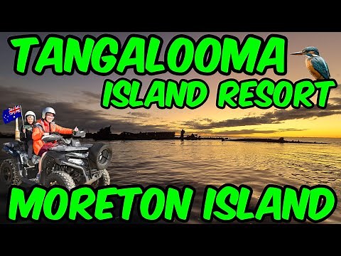 Tangalooma Island Resort | Moreton Island | Dolphin Feeding, Snorkeling, Quad Biking & Much More