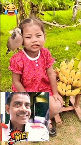 Angry Bird vs Baby Girl 😂🐦 #shorts #viral #funny