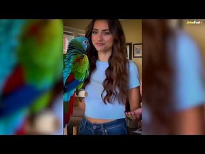 👉 6 FUNNIEST SHORT JOKES 😂 (You WILL Laugh!)