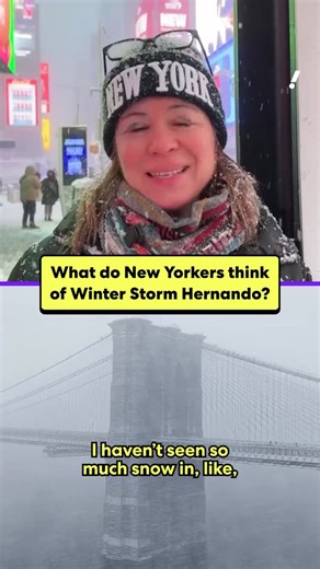 New Yorkers vs. Winter Storm Hernando 🌨️ New York City residents react after the blizzard dumped nearly two feet of snow, shutting down schools and triggering a citywide travel ban. | Yahoo News