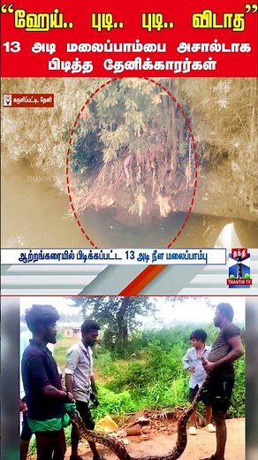 theni | python | river