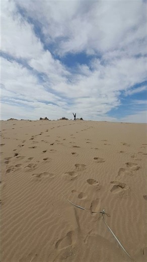 how many flips 🤸‍♂️?