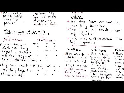 Temperature Classification Of Animals | Ectotherm | Endotherm