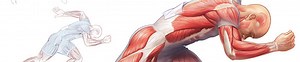 L'ATP, molécule indispensable au métabolisme cellulaire