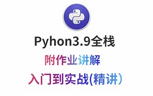 Python3.9全栈，入门到项目实战（精讲），附作业讲解，就业宝典！