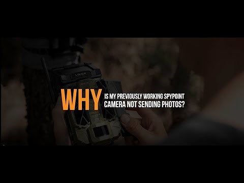Why is my Previously Working SPYPOINT Camera Not Sending Photos | SPYPOINT