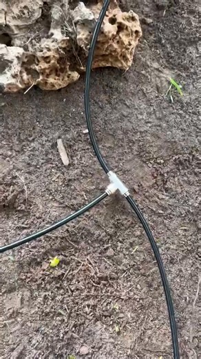 We added a @Fogco mistscaping system to our backyard and it's been a total game changer! Not only does it instantly cool the space, but it also helps keep bugs away and our kids love it! It's subtle, efficient, and makes a big difference-especially on those hot summer days. If you're looking for a way to actually enjoy your backyard in the heat, this is one upgrade we can't recommend enough!!#mistscaping #Fogco #backyard | Nik and Liv DIY