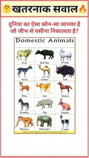 😱 90% लोग इस सवाल का जवाब नहीं जानते | GK Question and Answer | Part-240#gkfacts #bkgkstudy #shorts