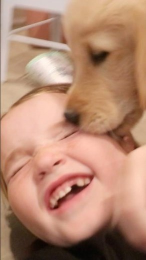 SURPRiSE PUPPY PARTY!! Navey's Barbie Party for Adley & Niko! cake decorating and unboxing presents