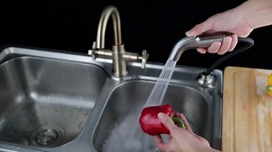 Houtingmaan Kitchen Sink Sprayer Replacement, Side Sprayer, Kitchen Sink Faucet Sprayer Hose,Sprayer Head Replacement,Sink Spray head,17 ADAPTERS,Sink Sprayer Brushed Nickel