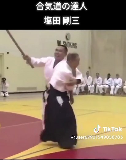 合気道の達人 #塩田剛三 #合気道 #格闘技 #渋川剛気 #グラップラー刃牙