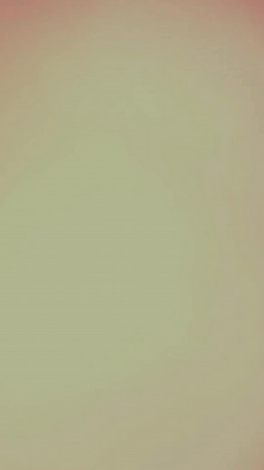 Fashion Lookbook: Explore Diverse Outfits and Styles