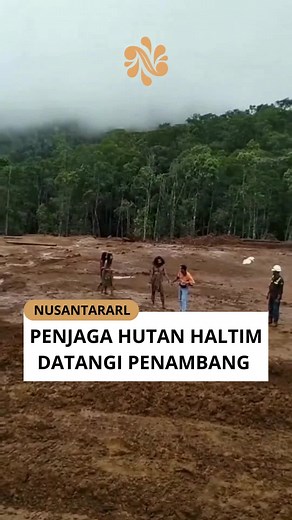 Suku Togutil bermukim di kawasan hutan Halmahera Timur. Kehidupan masyarakat suku ini masih sederhana dan sangat bergantung pada hutan. Mereka juga sangat mempertahankan nilai-nilai dan tradisi tradisionalnya. Mengutip jurnal milik UIN Raden Fatah Palembang, keberadaan suku ini masih jauh dari teknologi dan belum tersentuh pembangunan fasilitas maupun infrastruktur publik. Bagaimana pendapat kalian? Silahkan beri komentar terbaik Anda di postingan ini 🙏🏻 Dan boleh like, share, dan follow @nusa