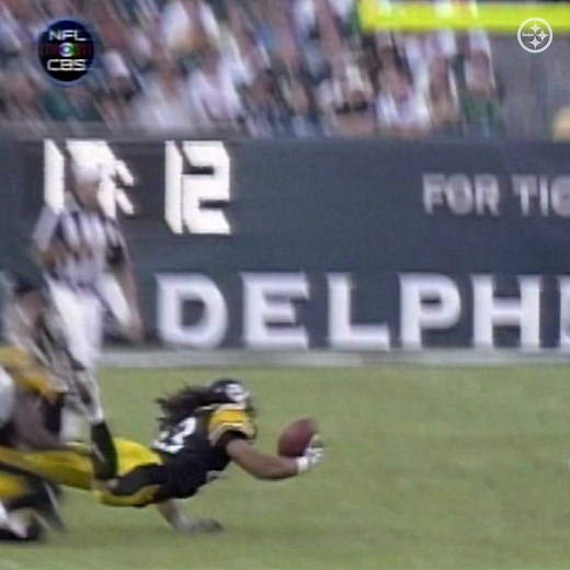 Who remembers this grab by Troy Polamalu⁉️ 🤯 #TBT | Pittsburgh Steelers
