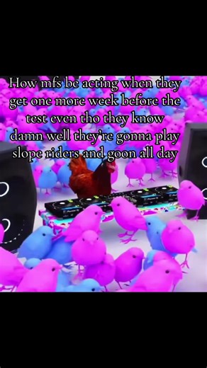 Pre-Test Chaos: The One Week Countdown