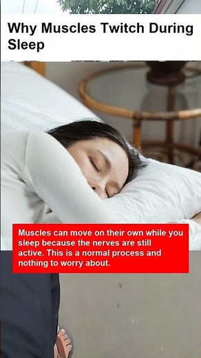 Why Muscles Twitch During Sleep - OTOMOTIPS