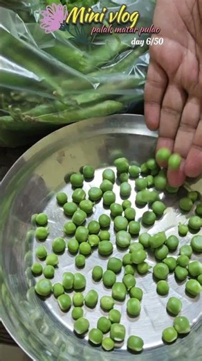 palak vatana bhat💚 #minivlpg #familyvlog #short #matarpulao