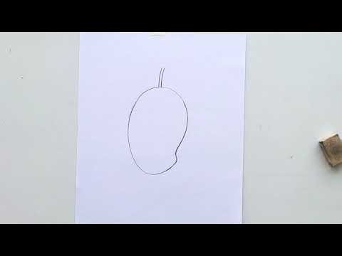 mango fruits drawing tricks