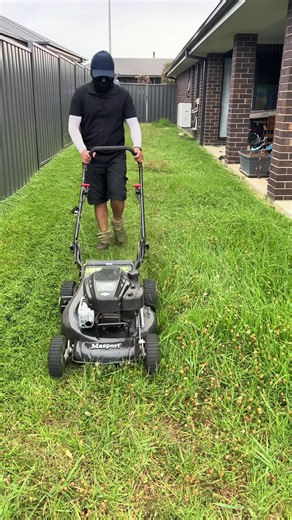 Transforming a Neglected Lawn in Orange, NSW