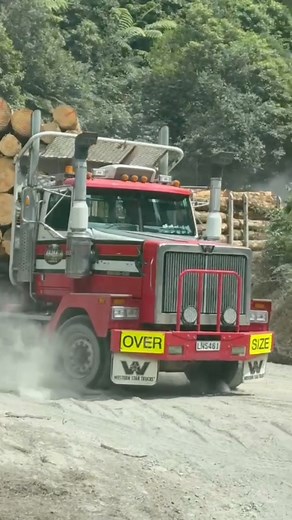 Ginormous🪵🪵🪵#logtruck #logging #truckdriver #OffHighwayTruck (Abis Vid) | Rock on Trucking NZ