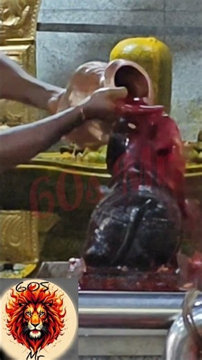 Pradosham Shiva Abhishekam|Shiva Pradosham|Siva Abhishekam|