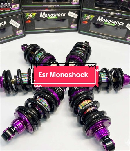 Original ESR Monoshock Suspension