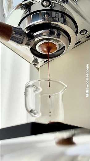 How to Use Single Shot Basket on Gemilai Ele G3028A Espresso Machine #gemilai #ele3028a #espresso