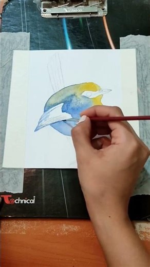 #drawingtutorials