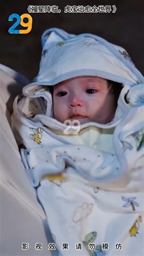 Episode 6: ปาฏิหาริย์เหลือเชื่อเมื่อจ้าวป่ายอมสยบแทบเท้าช่วยชีวิตเด็กทารก! | Volgo Italia