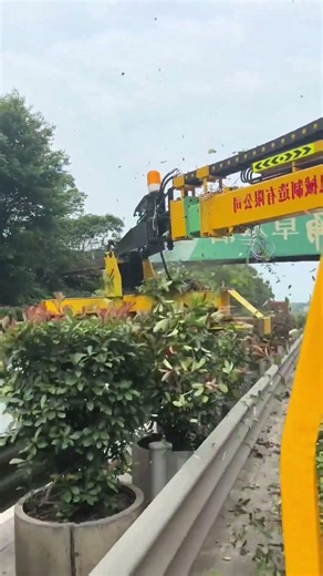 Roads side cutting How Heavy Machinery Clears Trees