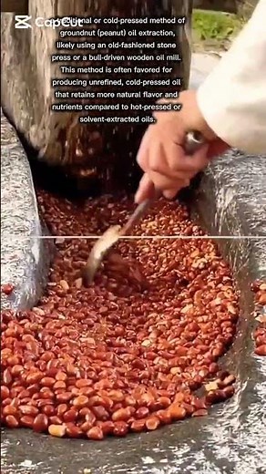 traditional cold-pressed method of groundnut (peanut) oil extraction