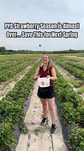 PYO Strawberry Season is Almost Over… Save for Next Spring