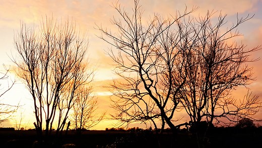 A Review of the Fujifilm GF 32-64mm f/4 R LM WR Lens | Fstoppers