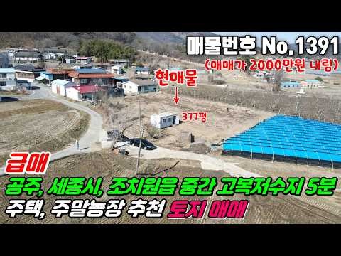 No.1391 매매가인하 세종시 공주 조치원읍 중간 고복저수지 정안IC인근 세종특별자치시 연서면 청라리 전원주택 주말농장 투자용토지 #세종시토지매매 #연서면토지매매 #청라리토지매매
