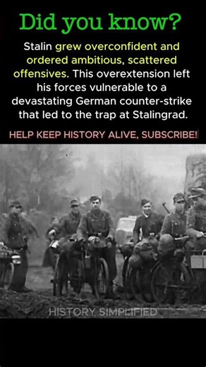 Stalin OVEREXTENDED His Army in 1942 — And Created the Stalingrad Disaster #shorts #ww2 #history