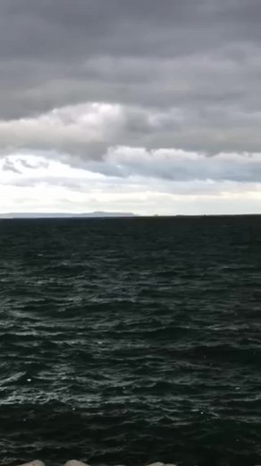 O型の恋愛の特徴と心理