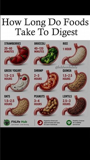 How long do foods take to digest? Exact stomach digestion times explained! 🥗⏳