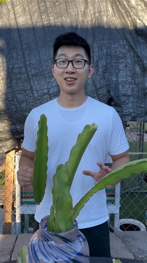 How to propagate your dragonfruit cuttings in 10 seconds! - Copy #propagation #dragonfruit #plantparent | Simple Gardening | Facebook