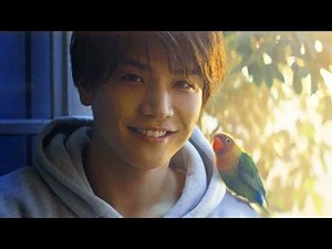 岩田剛典の優しい笑顔「いい一日でありますように」／AGFブレンディCM30秒