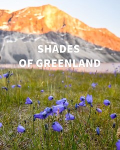 WARNING: Have you ever felt like something's missing from your travels? Imagine waking up to breathtaking Northern Lights, hiking on glaciers and experiencing the untouched Arctic wilderness! Start planning YOUR adventure of a lifetime in Greenland today! | Visit Greenland