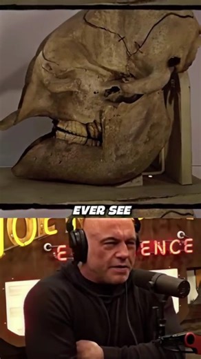 Joe Rogan: The Real Origin of the Cyclops Myth 👁️🐘