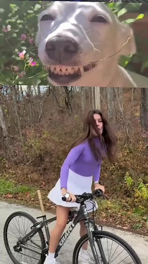 Latest model bicycle | Md Rony Mondal